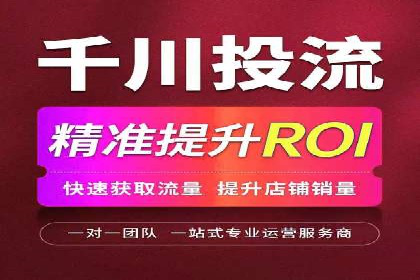 SEM推广策略：成功案例解析与效果评估